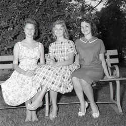 569-Miss Black & Gold and runners-up May 12 1959