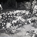 668-Grave of Mrs Charles Pennal September 15 1959