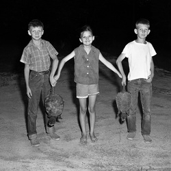 866- Robert Edmunds' children catch turtles June 7 1960