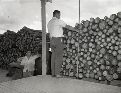 892- Pulpwood yard in McCormick. August 10, 1960