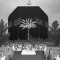 921- Ola Langley-Robert Jolly wedding, Antioch Church, Edgefield. September 25, 1960