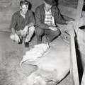 950- Ronald Ellison, Jack Gantt with FFA sow with pigs. November 3, 1960
