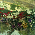 210-Charlie Talbert Funeral Flowers 08 5 1957