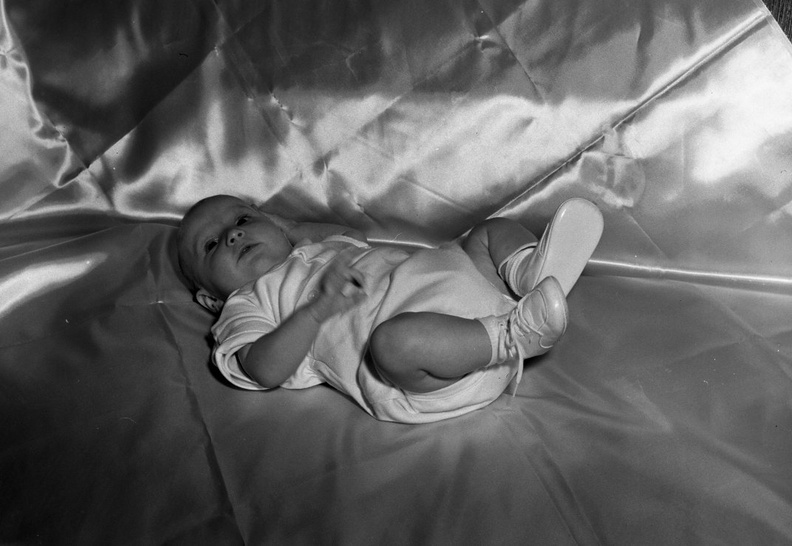 312-David B. Wardlaw, Jr. 3 months old. March 23, 1958
