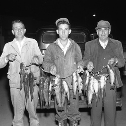 315-John Talbert John Strom Edward Strom fish pictures April 10 1958