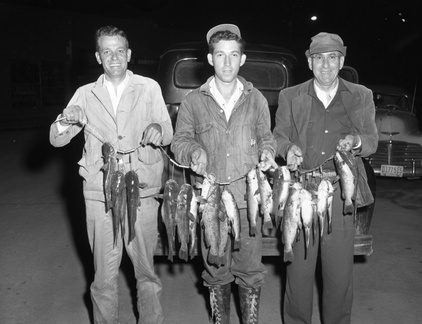 315-John Talbert, John Strom, Edward Strom, fish pictures. April 10, 1958