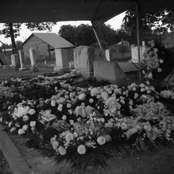 378-Miss Maggie Wells funeral flowers Freeland Cemetery Plum Branch July 19 1958