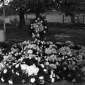 378-Miss Maggie Wells funeral flowers, Freeland Cemetery, Plum Branch. July 19, 1958