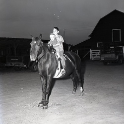 1327- Horse for Jimmy Smith November 15 1962