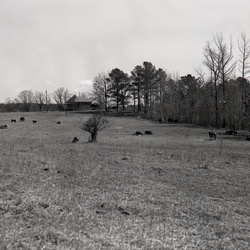 1541- McCormick Country Club site of golf course March 11 1964