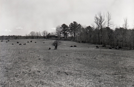 1541-McCormick County Club, site of golf course. March 11, 1964
