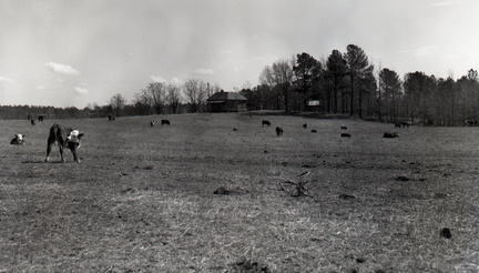 1541-McCormick County Club, site of golf course. March 11, 1964