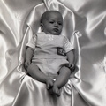 1564- Joseph Mayson...11 weeks old, May 11, 1964