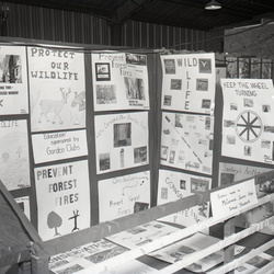 1598- McCormick Fair Exhibits & Flower Show September 1964