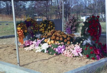 1622- Caloun Palmer Butler Minor flowers November 1965