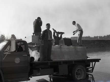 2089- Flathead catfish into Clark Hill Lake, March 26, 1968