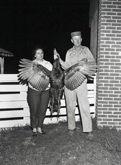 2096- Wild turkeys Robert, Betty, and Bernie Edmunds, April 1 and 2, 1968