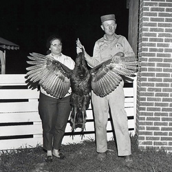 2096- Wild turkeys Robert Betty and Bernie Edmunds April 1 and 2 1968