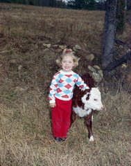 2336B- Bonnie Franc with calf, December 1968