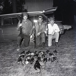 2647- Ducks Harvey Bandy and Ralph Lee January 11 1970