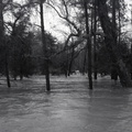 3954- Soil Conservation photo, high water, March 1971