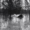 3954- Soil Conservation photo, high water, March 1971