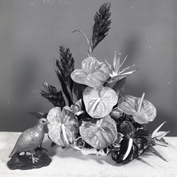 4043- Flowers from Hawaii June 19 1971