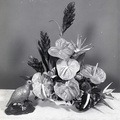 4043- Flowers from Hawaii, June 19, 1971