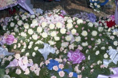 4182- Mrs J L Bracknell graveside flowers, December 26, 1971