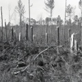 4189- Tornado damage, January 15, 1972