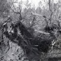 4189- Tornado damage, January 15, 1972