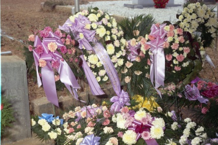 4222- Mrs Watkins graveside flowers, February 19, 1972