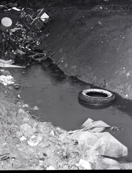 4250- Plum Branch trash dump, March 30, 1972