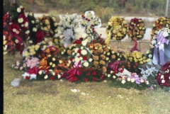 4396- Jim Ferqueron funeral flowers, October 19, 1972