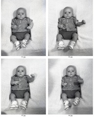 ContactSheet