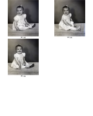 ContactSheet
