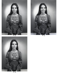 ContactSheet