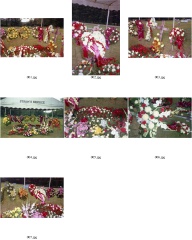 ContactSheet