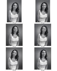 ContactSheet
