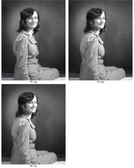 ContactSheet
