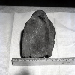 5168 Stone found at Gilbert Place Spring 1979