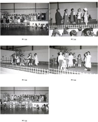 ContactSheet