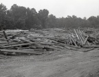 5312 Cox Lumber 24 June 1981