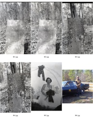 ContactSheet