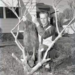 M190 Billy Adams kills a beaver 8 March 1959