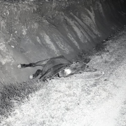 M192 Bill Bosdell hits mule and wrecks truck Friday 13 March 1959