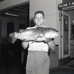 M204 24 pound catfish caught by D W Storey 18 April 1959