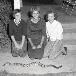 M368 C. W. Robertson, Jr. kills rattlesnake 25 September 1960