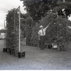 M647C News photos Third quarter 1969