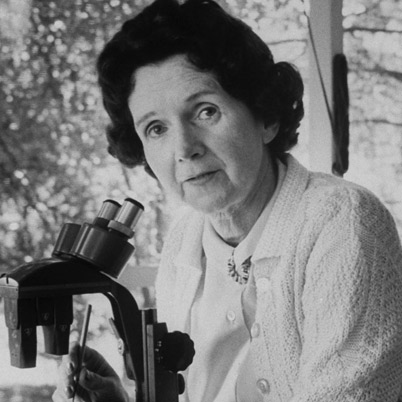 Rachel Carson presentation